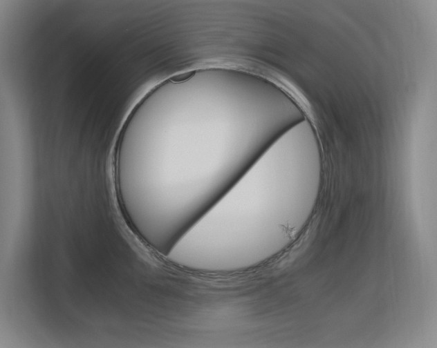 X0000110710907200906121053