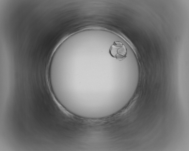 X0000110710909200906121053