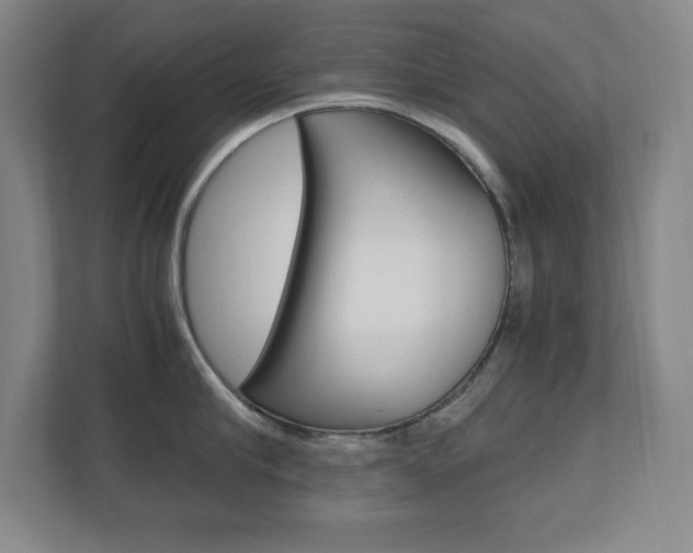 X0000110710910200906121053