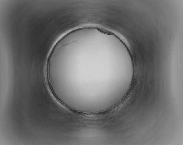 X0000110710911200906121053