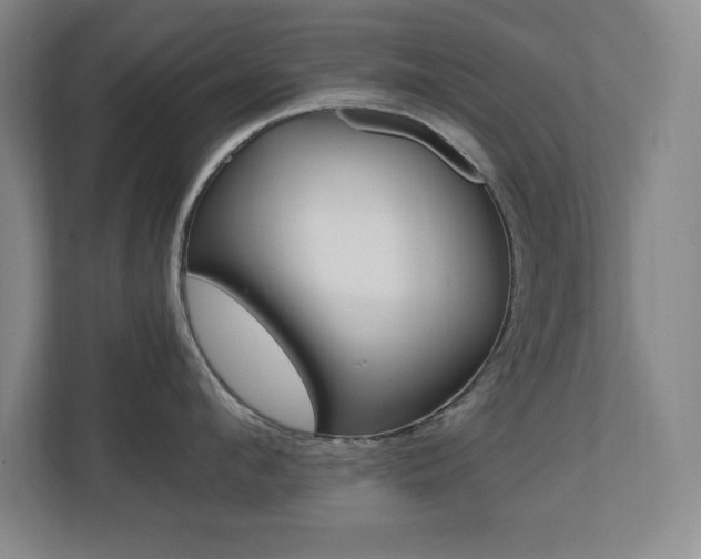 X0000110710912200906121053