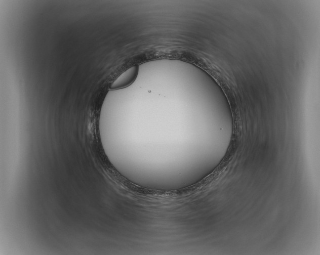 X0000110710914200906121052