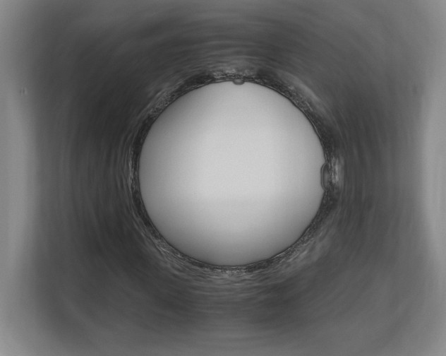 X0000110710915200906121053