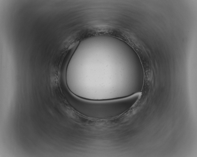X0000110710916200906121053