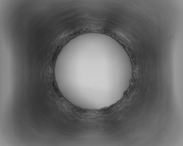 X0000110710917200906121053