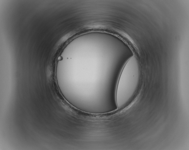X0000110710922200906121053