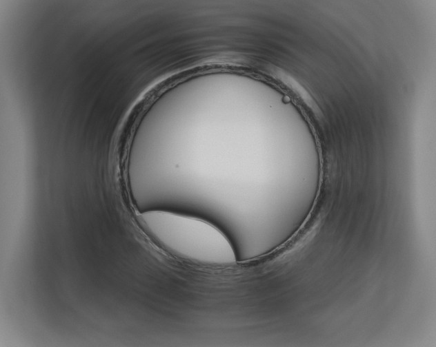 X0000110710923200906121053