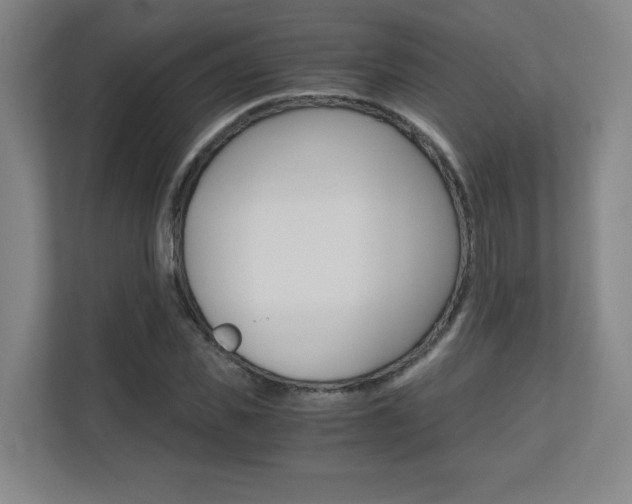 X0000110710925200906121053