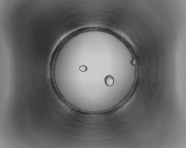 X0000110710927200906121053