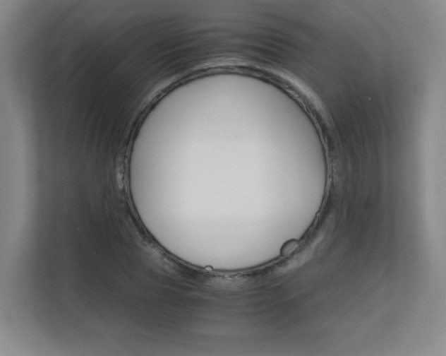 X0000110710929200906121053