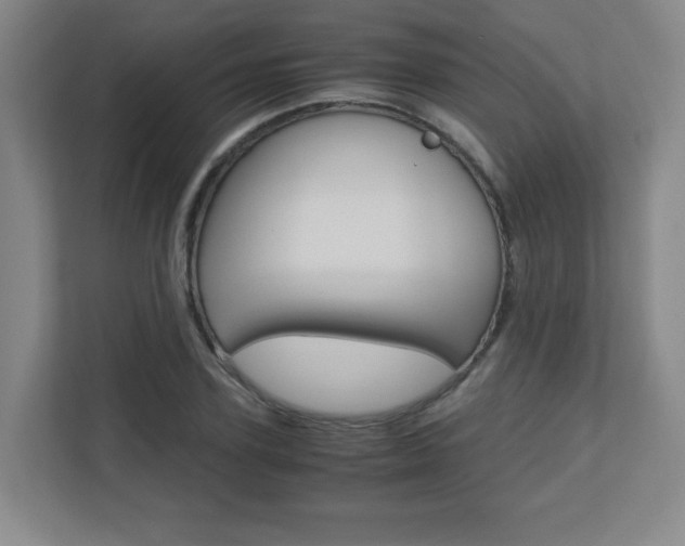 X0000110710931200906121053