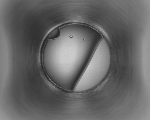 X0000110710932200906121053