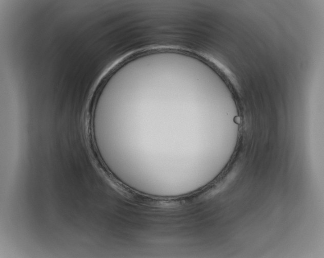 X0000110710933200906121053