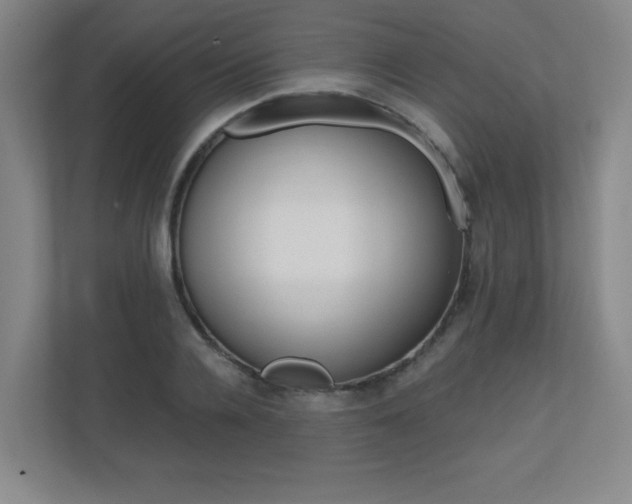 X0000110710936200906121053