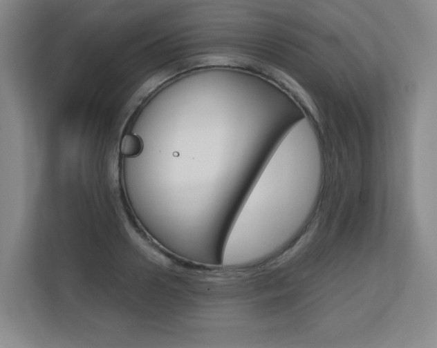 X0000110710938200906121053