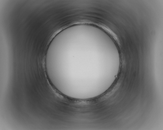 X0000110710945200906121053