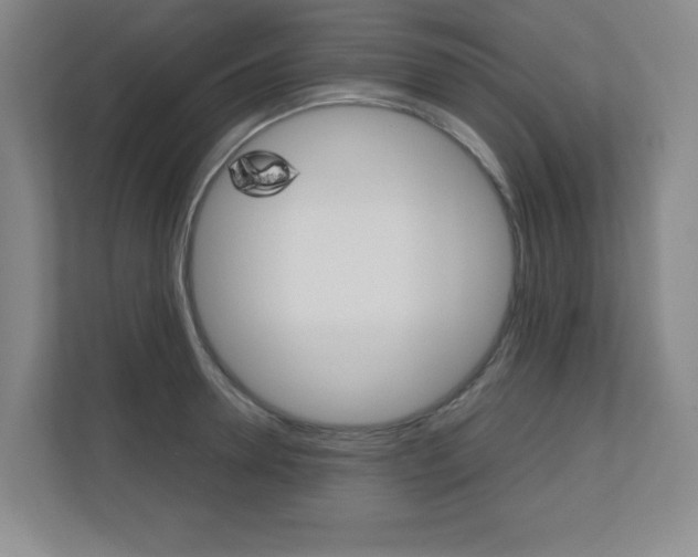 X0000110710946200906121053
