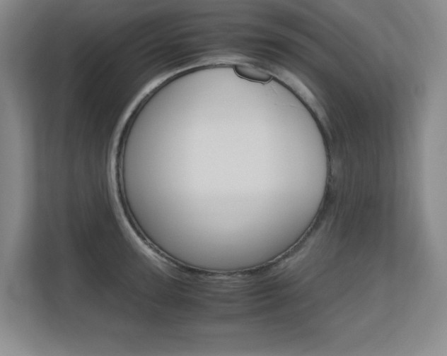 X0000110710947200906121053