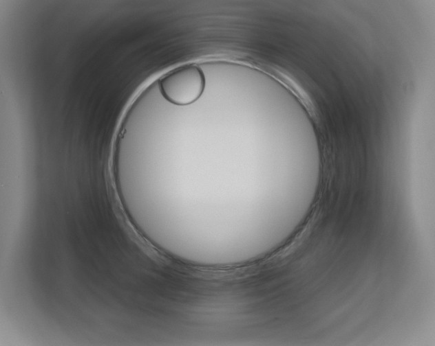 X0000110710948200906121053