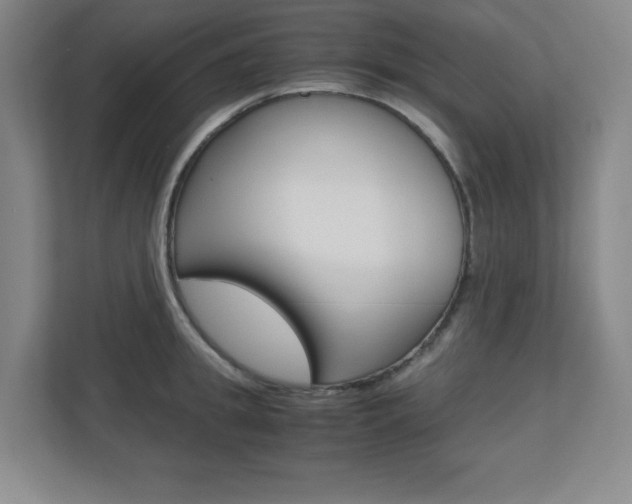 X0000110710949200906121053