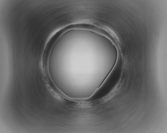 X0000110710952200906121053