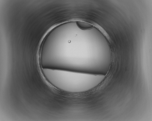 X0000110710955200906121053