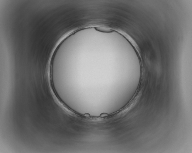 X0000110710957200906121053
