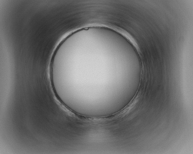 X0000110710958200906121053