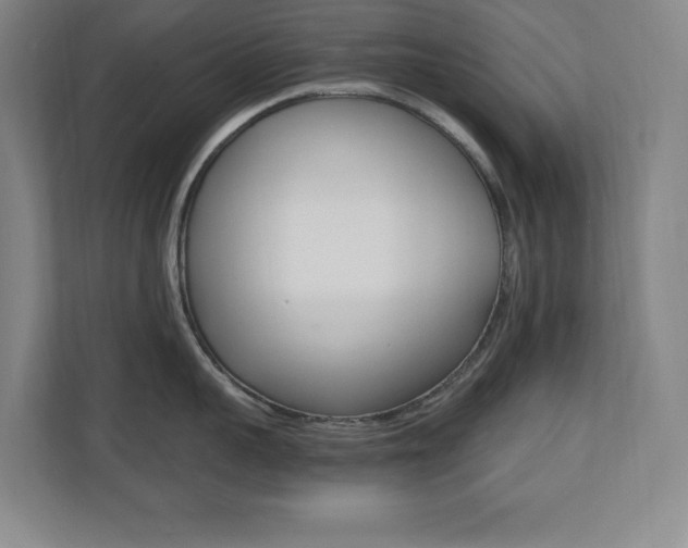 X0000110710959200906121053
