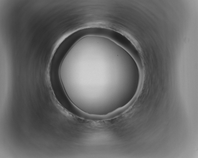X0000110710960200906121053