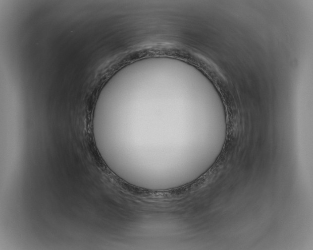 X0000110710966200906121052