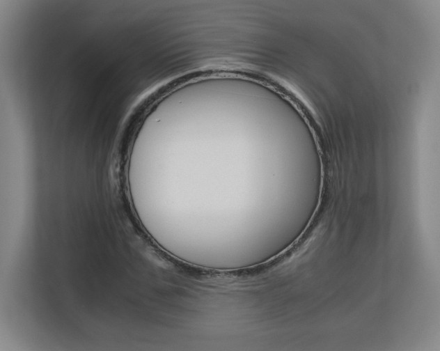 X0000110710971200906121052