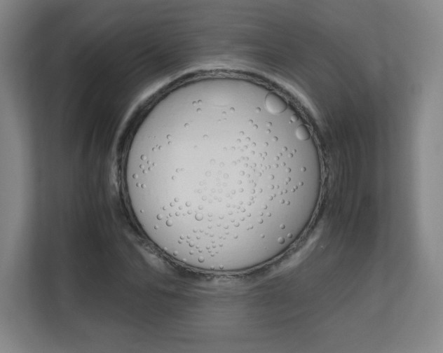 X0000110710974200906121052