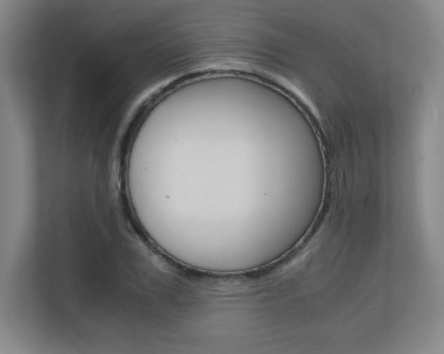 X0000110710979200906121052
