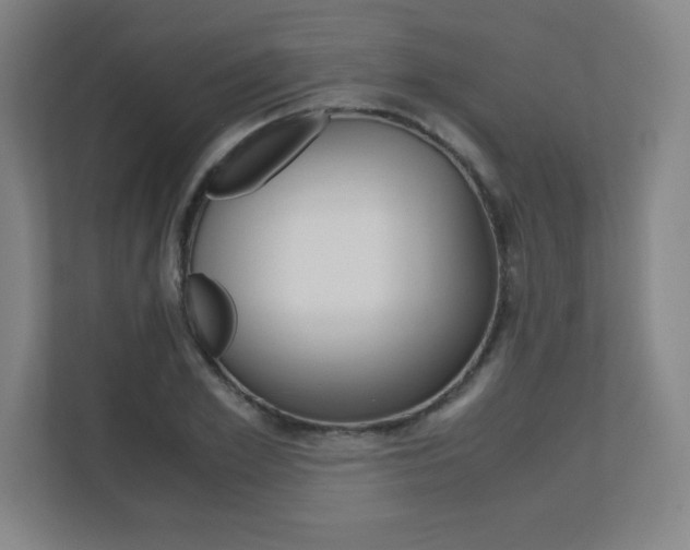 X0000110710981200906121052