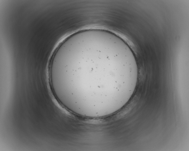 X0000110710998200906121052