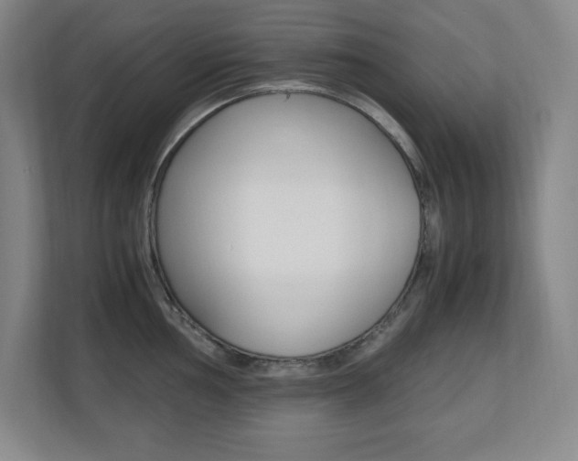 X0000110711002200906121052