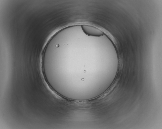 X0000110711006200906121052