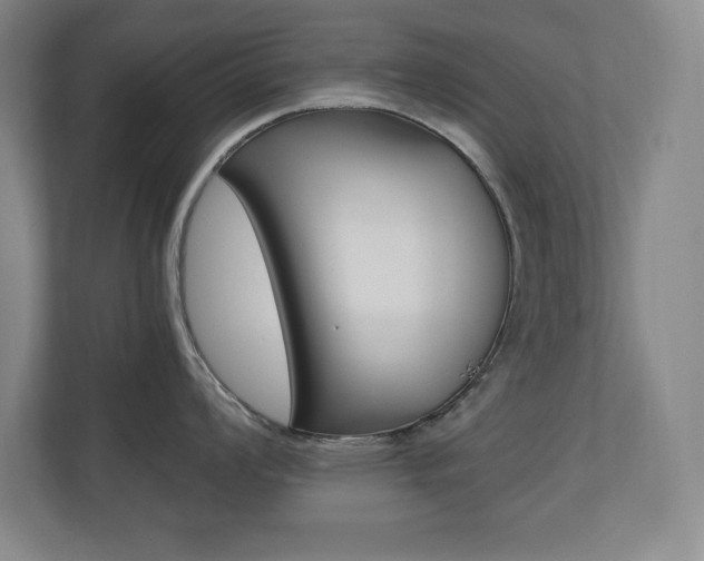X0000110711008200906121052