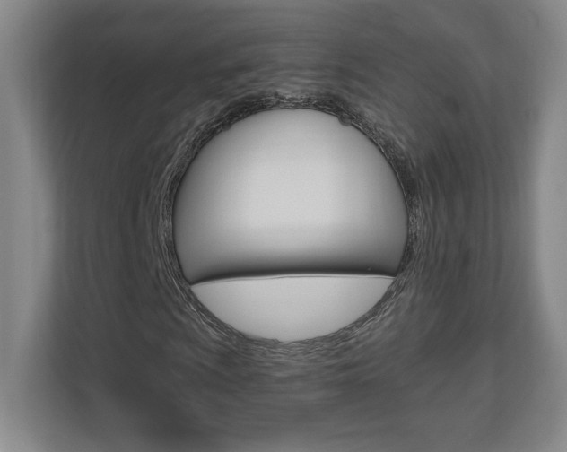 X0000110711009200906121051