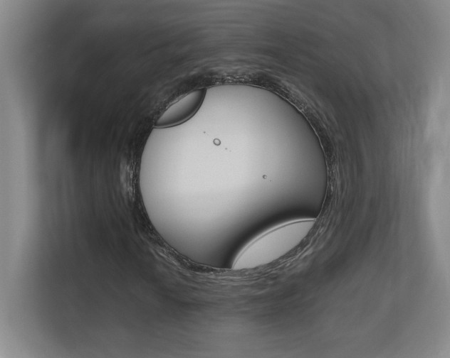 X0000110711010200906121051