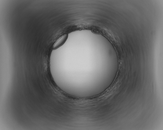X0000110711012200906121051