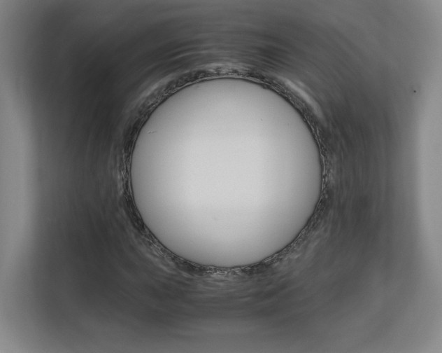 X0000110711015200906121051