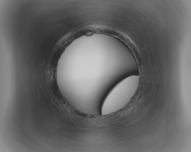 X0000110711016200906121051
