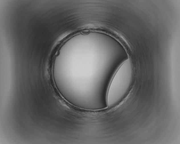 X0000110711018200906121051
