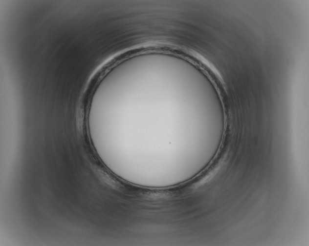 X0000110711021200906121051