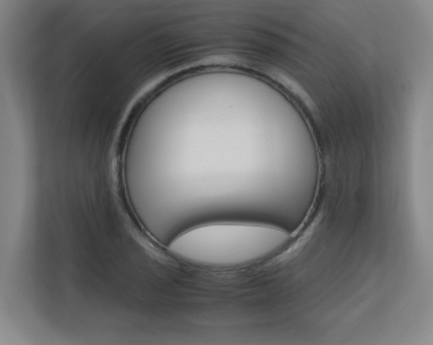 X0000110711029200906121052