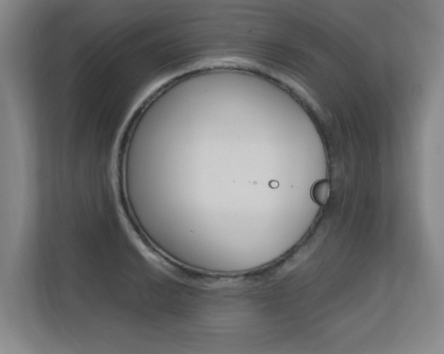 X0000110711038200906121052