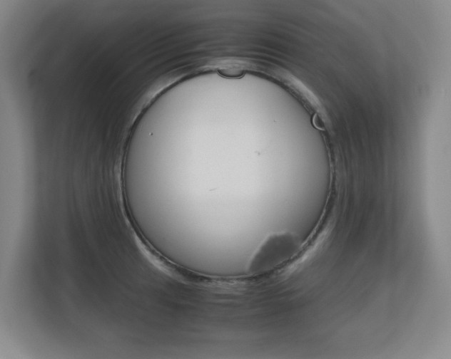 X0000110711041200906121052