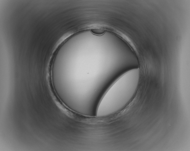 X0000110711042200906121052